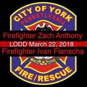 Meet your Posher, Brody